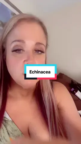 Echinacea goldenseal gel tabs ! Price subject to change! #creatoricons #TikTokShopCreatorPicks #supplements #echinacea #goldenseal #immunesystem 