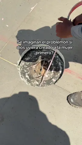 #construccion #mujeresvshombres #ruferos💯 