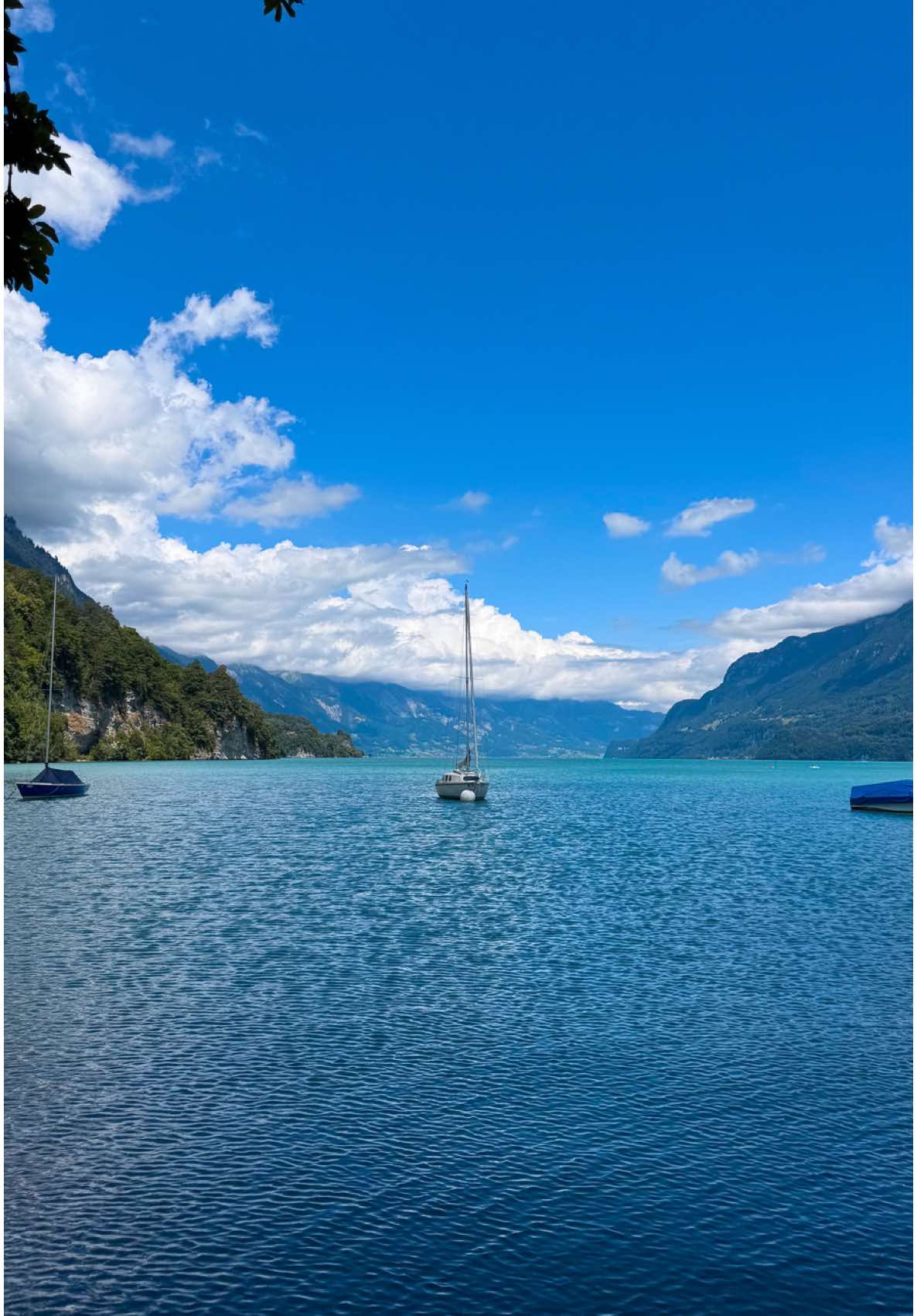 #سويسرا #انترلاكن #🇨🇭 #4u #travel #سفر #explore #viral #اكسبلور #switzerland #interlaken 