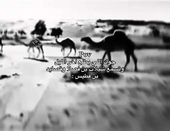 #ذبات #اكسبلور #viral #foryou #رياكشن #ابن_حرب🇸🇦 