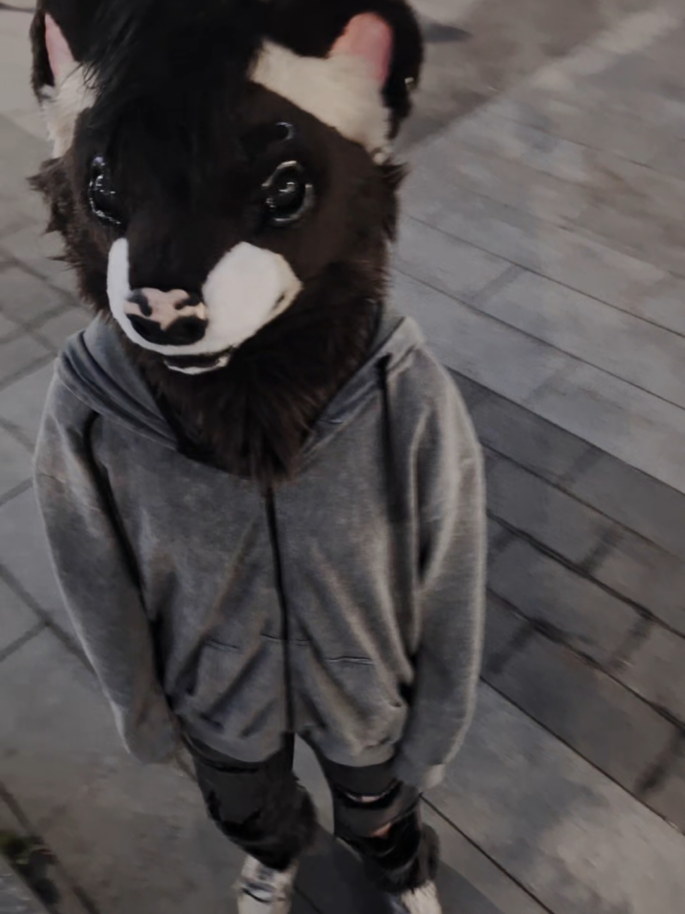 я что.. фурри?... #fursuiters #fursuits #fursuiting #furryfandom #swag 