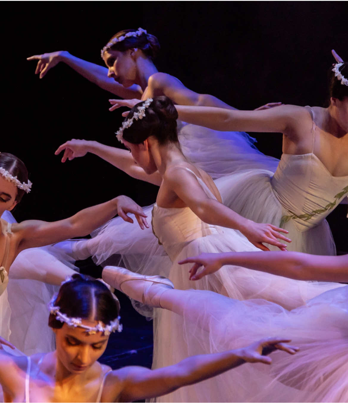 Quiero ser una Willis y #bailar así! En el #ballet Giselle, las Willis son espíritus vengativos de mujeres que mur1eron antes de casarse. Usan vestidos de novia y como fantasmas atormentan a los hombres con su #danza, sobre todo a aquellos que en vida las traicionaron de alguna manera. Su reina, Myrtha, es quien convoca a las Willis para llevar a cabo el ritual de la venganza, por el cual se cobran a sus víctimas. ¿Qué te parece este cuadro? 🩰 #Giselle por GDB Danza en el Teatro Avenida (2025)