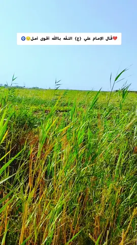 شباب لايك تصويري_احترافي الجواء الجميله ❤️💙