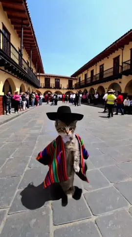 danza perú 🇵🇪Huaylas #fyp#catlover #Tierno #viral #viralcats #huayno #huaylas 