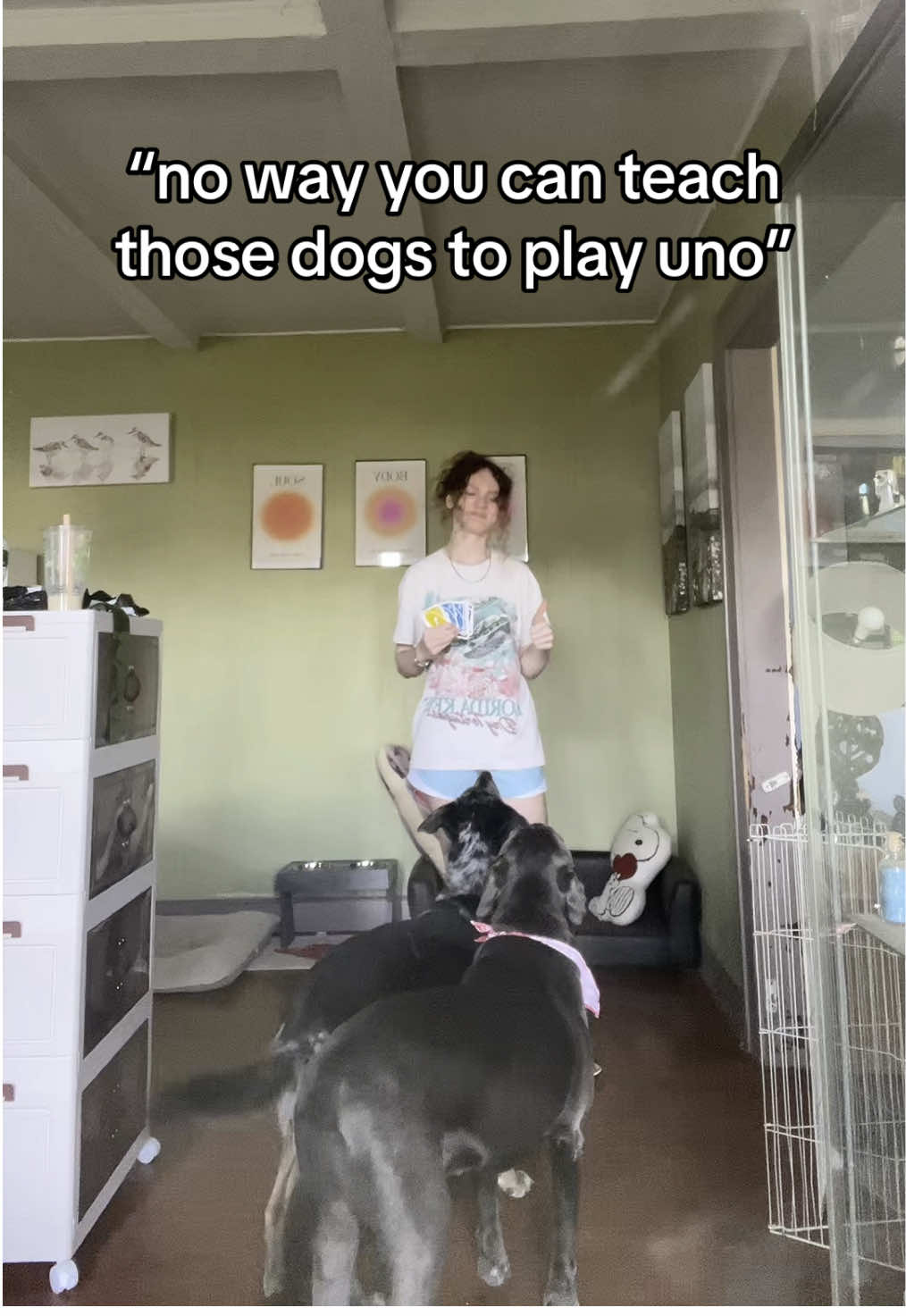 @uno let’s invent the worlds first card game all dogs can play #foryou #foryoupage #viral #dunkindadawg #fyp #dogs 