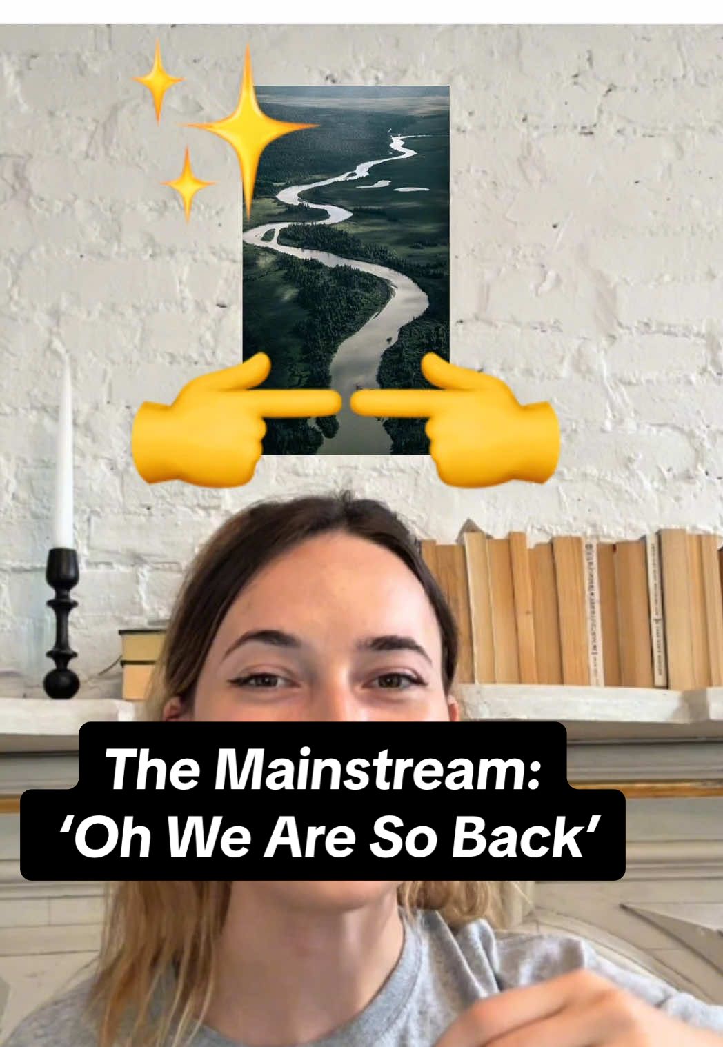 The children yearn for the mainstream  #internetanthropology #anthropology #culturaltheory #spotify #clairo #severance #reddit #fringe #onlinecommunity #niche #subculture #brony #pitbullconcert #mediatheory 