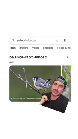 Avaliando nomes de pássaros #aves #passaros #humor 