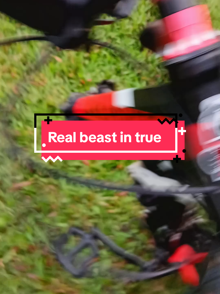 #creatorsearchinsights  Real best in true #trinidadandtobago #foldingbike #fypシ゚ #fyppppppppppppppppppppppp #contentcreator #bike 