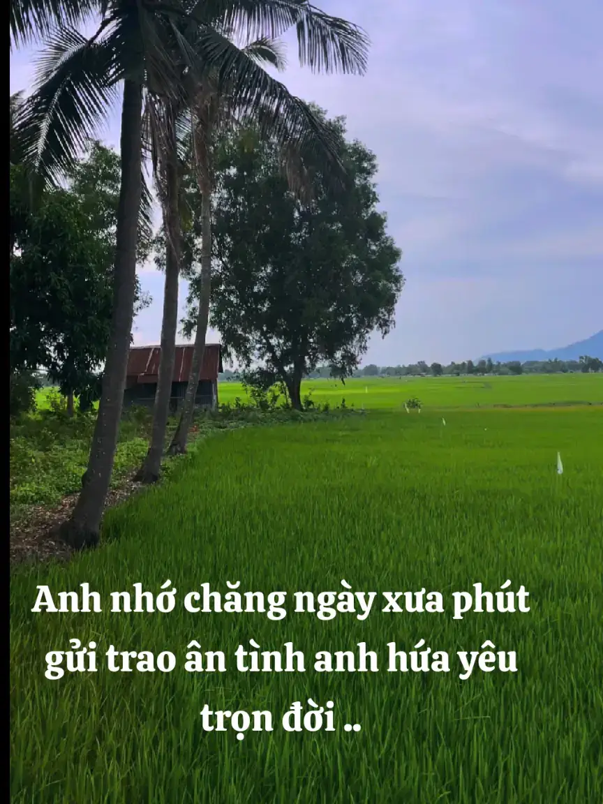 #tancohaymoingay❤️🌹 #fpy #xuhuongtiktok 