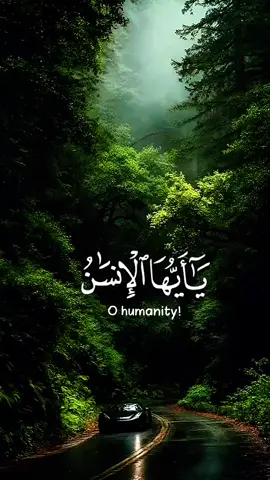 #creatorsearchinsights #تلاوة_خاشعة #القارئ_محمد_الفقيه #القران_الكريم_راحه_نفسية😍🕋 #القران_الكريم 