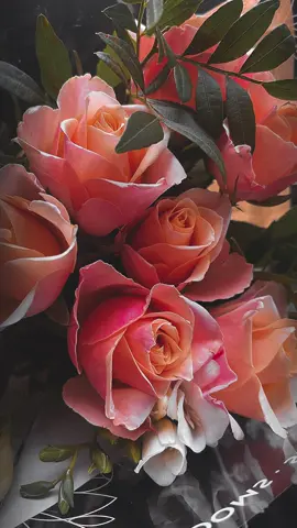 #promomakanliburan #foryoupage #😍😍😍😍😍😍 #1000k 