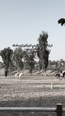 دائماً صح.