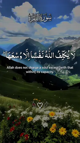 القرآن الکریم 🌹🌹❤ #quran #quranicquotes #islamicreminders #islamicreelsvideo #growmyaccount  #quran #islamicquotes 