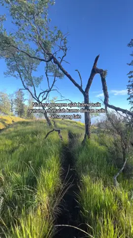 Kwkwkwk#pendakigunung 