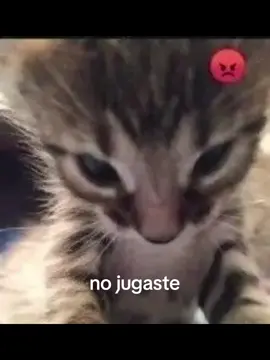 #Paratiiiiiii #viral #no jugaste roblox conmigo