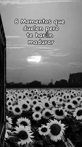 #Momentos #CapCut 