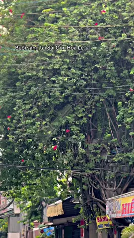 Chạm đc ước mơ không bao giờ dám nghĩ đến rồi mn ơi #xuhuong #fyp #viral #trending 