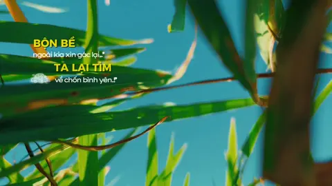 #bìnhyên 