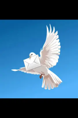 Pigeons with letters ✉️ #tiktok #viral #fyp 