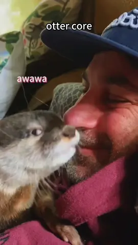 Cute otter core 🦦 #funny #animals #foryou #foryoupage #fyp #cute #usa #usa🇺🇸 #viral 