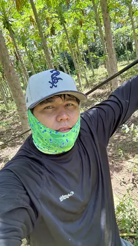 👨🏻‍🌾😎🌱🧠🫀#elsalvador🇸🇻💙 #agroboy🤠 #workout 