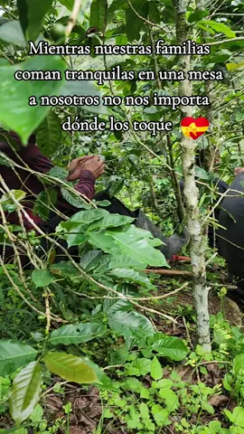 #paratiiiiiiiiiiiiiiiiiiiiiiiiiiiiiii #vida #campo 