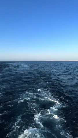 #followers #voyvoyvoy #video #video #video #تصوير #photography #photo #photoshop 