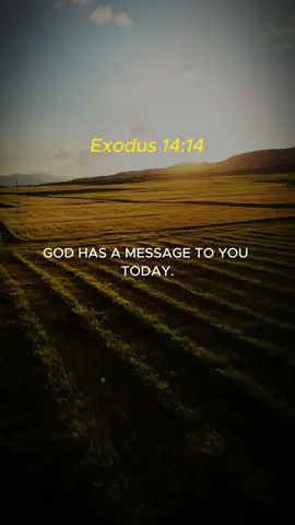 God Has A Message To You Today In Exodus 14:14 #bibleverse #bible #christian #christiantiktok #prayers 