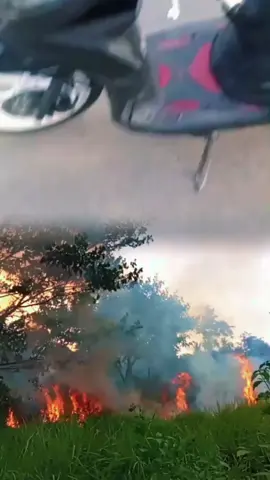 waspada kebakaran lahan di kabupaten Bireuen 