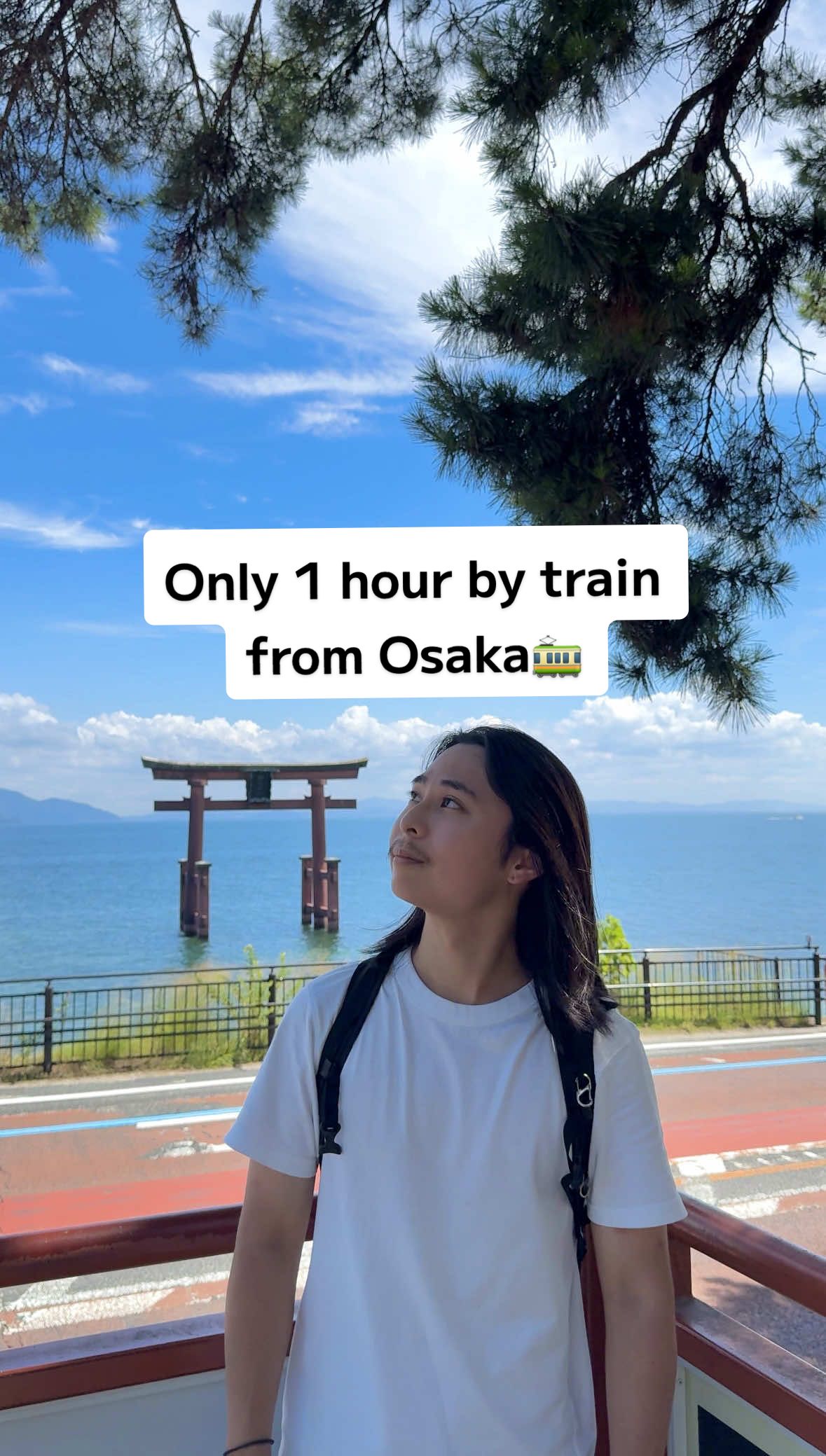 This place can be reached in just one hour by train from Osaka🚃 You don't need to change the line from Osaka station!! We came to the nearest station by train and rented a bicycle🚲 Riding a bicycle in the countryside of Japan is the best. And this place, which looks like a beautiful beach, is actually not the sea, but the largest lake in Japan🌊 We were able to find a hidden beach.  ※ Swimming is allowed here...🤦‍♂️ And this place with a large torii in the lake is Shirahige Shrine ⛩️ It has been revered since ancient times as the god of longevity, and it is the main temple of Shirahige Shrine throughout Japan. ⚠️Cautionary Notes⚠️ At the request of the shrine, please refrain from diving through, touching, getting too close, or turning your back on God at the request of the shrine🚨 We could eat delicious soba while looking at the lake at a soba restaurant near the shrine!! There is also a convenience store nearby, which is very convenient. 📍Oumitakashima Station 📍Lake Biwa in Siga prefecture  📍Shirahige shrine 📍Hidden beach この場所は大阪から電車でわずか1時間で行くことができます🚃 大阪駅から乗り換える必要はありません！！ 私たちは電車で最寄りの駅に来て、自転車を借りました🚲 日本のお米畑を見ながら自転車に乗るのは最高です。 そして、美しいビーチのように見えるこの場所は、実際には海ではなく、日本最大の湖です🌊 私たちは隠れたビーチを見つけることができました。 ※ここでは水泳が許可されています...🤦‍♂️ ⚠️注意事項⚠️ 神社からのお願いで湖の上の鳥居を潜り抜けたり、触ったり、近づき過ぎたり、神様に背を向ける行為は控えていただくようにお願いします。🚨 そして、湖の中に大きな鳥居があるこの場所は白鬚神社です⛩️ 古くから延命長寿の神として尊敬され、日本全国の白鬚神社の総本山です。 神社の近くのそば屋で湖を眺めながら美味しいそばを食べることができました！ 近くにコンビニもあるので、とても便利です。 📍近江高島駅 📍琵琶湖 📍白鬚神社 📍秘密のビーチ #japan #siga #kyoto #osaka #nara #biwalake #lakebiwa #shrine #lake #japantravel #japanculture #japanexplorer #travelingjapan #japaneseculture #temple #japanlife #shirahigeshrine #白鬚神社