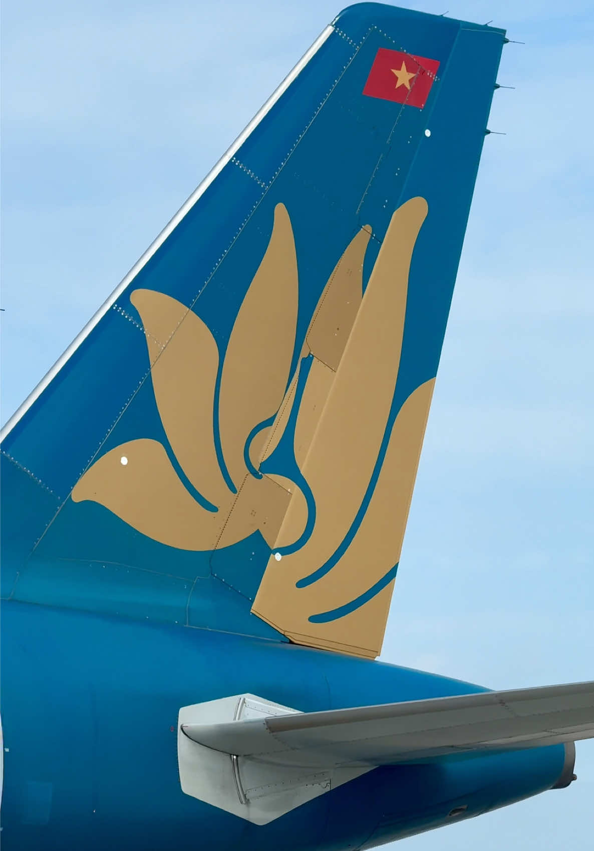 #airbus #a321 #vietnamairlines #pushback 
