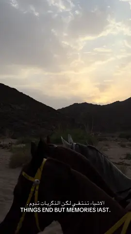 🧏🏻 ✍🏻 .  #خيل #نجران #حبونا #fyp #foryou #explore #اكسبلور #تصلال 