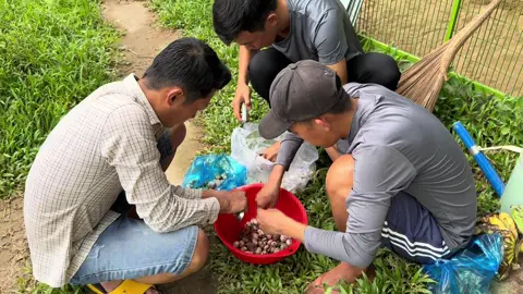 24/7 sáng sớm nhộn nhịp dữ