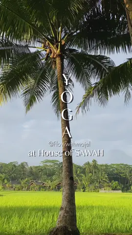 Morning class with @flowwithmajel  #meditation #yoga #strecthing 