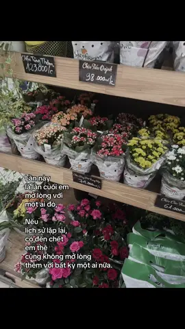 Mấy ai không muốn mình gặp được đúng người chứ?🥲