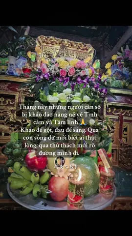 Khảo để gột, đau để sáng.🪷 #tuphuvanlinh #xuhuong #ypfッ #adidaphat #tutap #phatphapnhiemmau #viralvideo #tinnguongthomau #haudong #thuctinh #tamlinh #haudongnetdeptamlinh #chanhphap #phatphap #taman #tuphu 