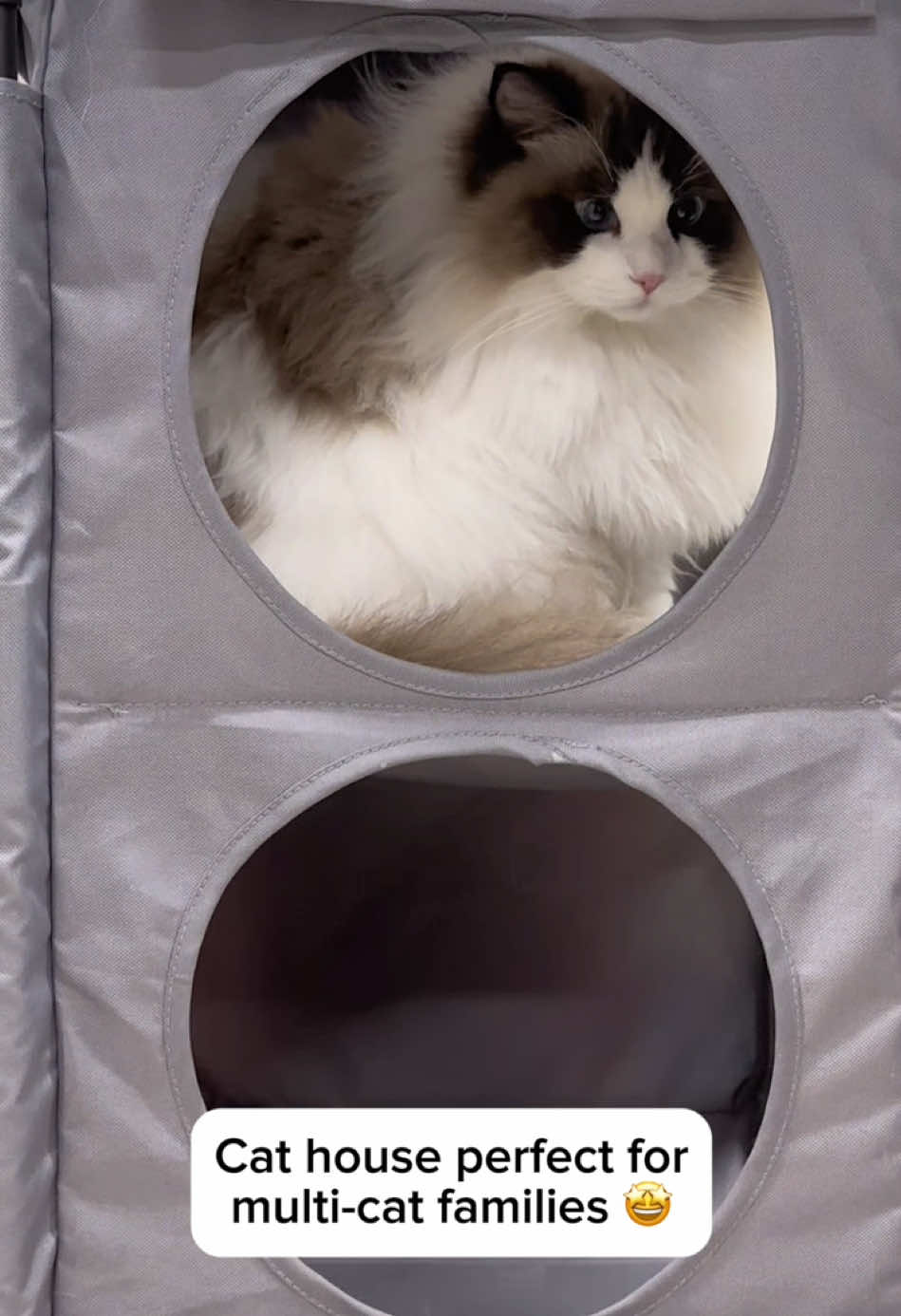 Cat house perfect for multi-cat families🤩 #cat #catsvideo #catproducts #petsupplies #cathouse #cattok #catmom #PetsOfTikTok 