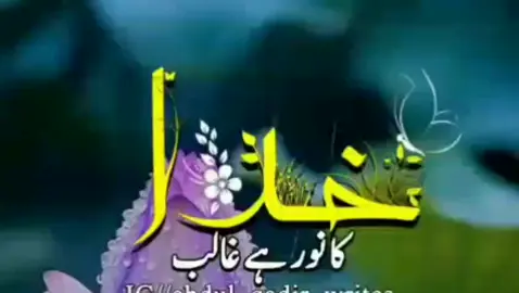 خدا کا نور ہے غالب ♥️♥️#foryupage #foryupage #unfrezzmyaccount #unfrezzmyaccount #viewsproblem #viewsproblem #100view 