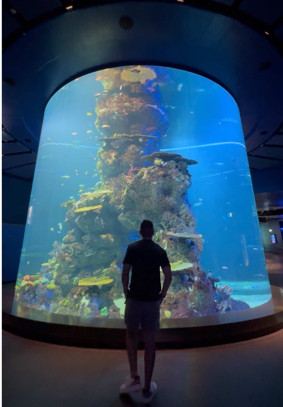 Got a sneak peek of the new @Singapore Oceanarium, opening July 24 at Resorts World Sentosa 🐠🌏 It’s home to 22 immersive zones dedicated to marine life, conservation, and storytelling—from sea jellies in the largest kreisel tank I’ve ever seen, to prehistoric creatures, whale falls, and dolphins in motion. If you love the ocean and everything in it, this one’s worth diving into. 🌊 #SingaporeOceanarium #RWSMoments  @Resorts World Sentosa 