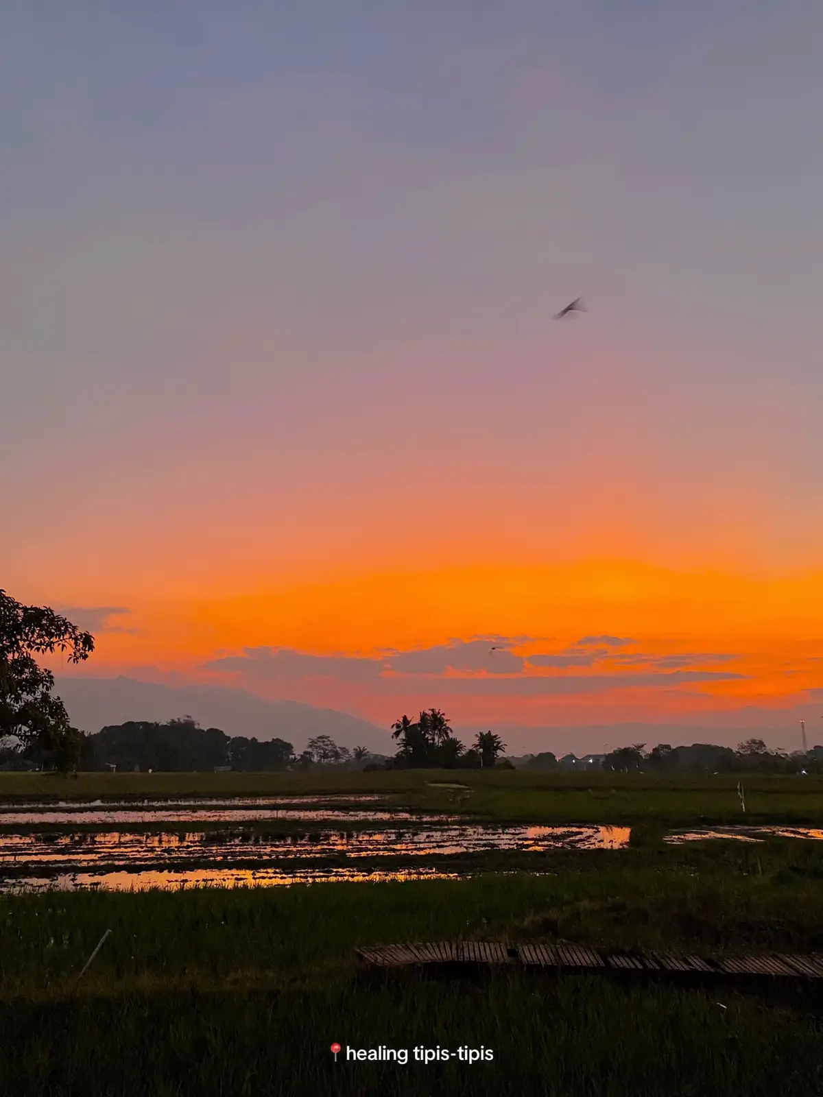 💁🏽‍♀️ sayang kalo dibuang 