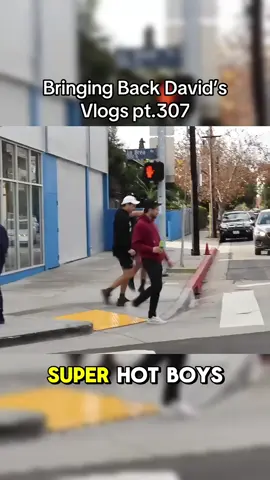 #foryoupage #fyp #daviddobrik #davidsvlogs #vlogsquad #funny 