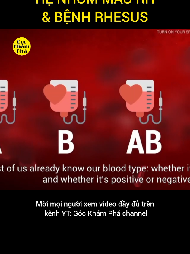Hệ nhóm máu Rh và bệnh Rhesus #LearnOnTikTok #khampha #khoahoc #máu 