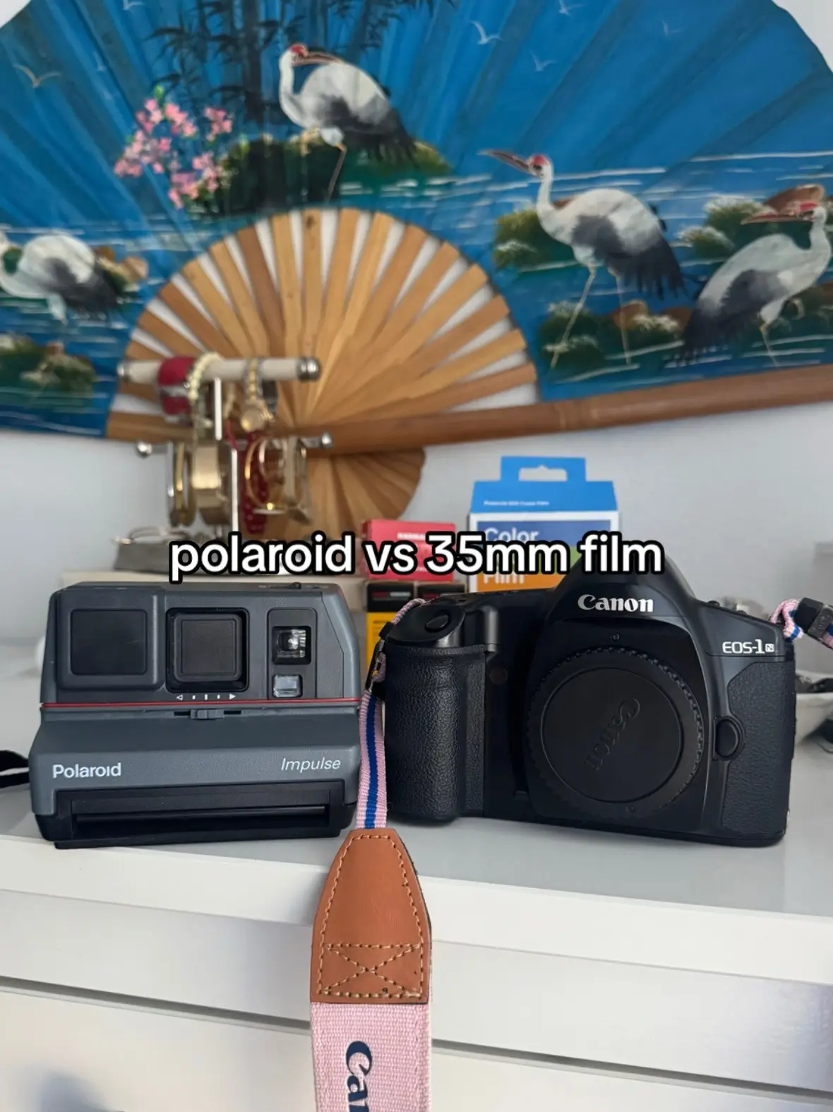 Which film do you prefer🎞️ #photographer #polaroid #filmcamera #shootfilm #analogphotography 