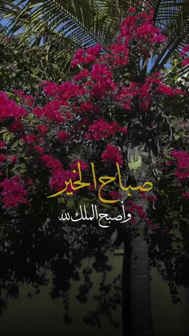 ‏ أصبحنا وأصبح الملكُ لله والحمد لله لا إله إلا الله وحده لا شريكَ له له الملك  وله الحمد وهو على كل شيءٍ قدير #أذكار_الصباح #أصبحنا_وأصبح_الملك_لله_الحمدلله #صباح_الخير #agg19900 