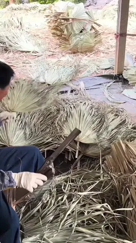 We are not selling products to you, but take natural beautiful things and happy life to you! Enjoy the nature together! #3hlink #Lavender #palmleaves #driedflowers #3hlinkflower #preservedflower #bohodecor #pampasgrass #hydrangea #homedecor #weddingdecoration #babybreath #handmadecrafts #hoteldecor #luxurydecor #flowerbouquet #flowerboxes #flowerbouquets #hydrangeas #christmasdecor #christmasflowers #preservedtree #witchbroom #christmas #driedflowerwholesale #cassiacinnamon #amarantus #willowbranch #minihaybales #decorhaybales 