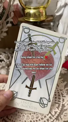 #quyntarot 