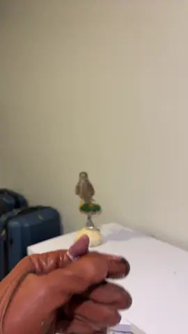 #الشعب_الصيني_ماله_حل😂😂 #صقر #شرياص #باشق#حميميج 