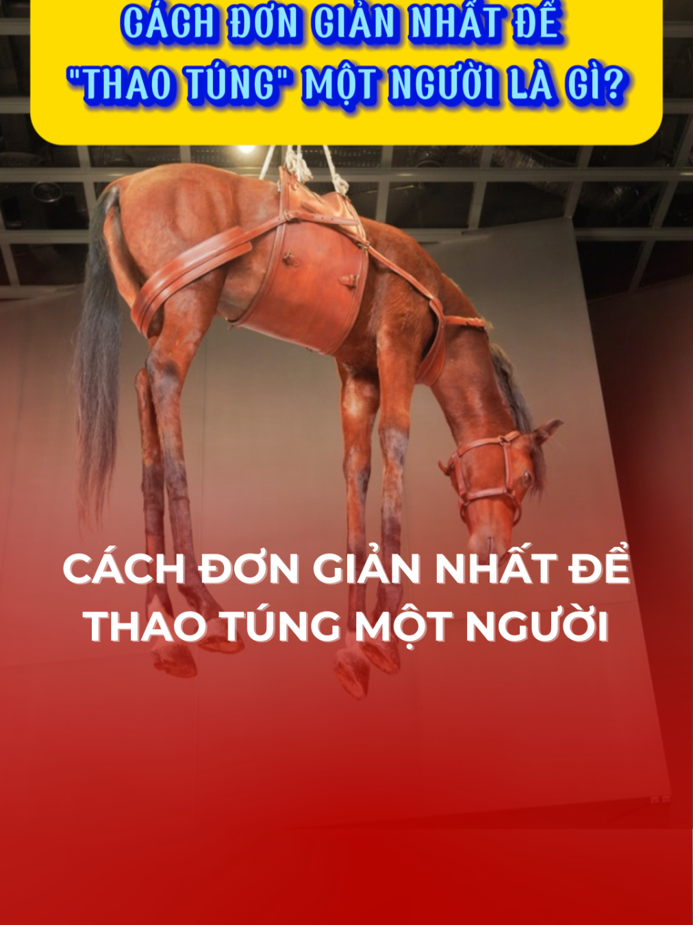 Cách đơn giản nhất để thao túng một người là gì? #thanhcong #book #tekno #sachgiaotiep #My10tvn8 
