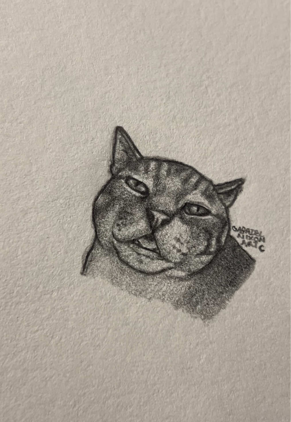 Everywhere is Cat       Credit- naturallywholesomeanimals/IG    #fyp #art #sketch #drawing #cat #linkinpark #foryouuuuuuuuuuuuu #fypシ 