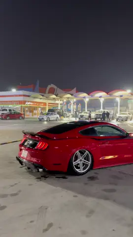 شكد تعذب كلوب#CapCut #السعودية #عمان #موستنج_جي_تي #حنطور #gt #qqqqqqqqqqqqqqqqqqqqqqqqqqqqqq #ماشاءالله_تبارك_الله_اذكروا_الله #الشعب_الصيني_ماله_حل😂😂 #اكسبلورexplore 